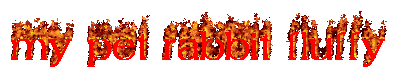 flaming text that says my pet rabbit fluffy